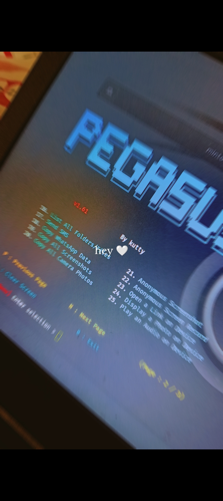 Pegasus Pro Features